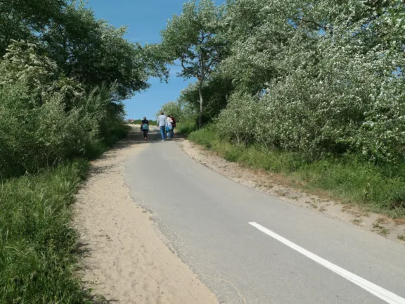 15 le bonheur 18 07 strand