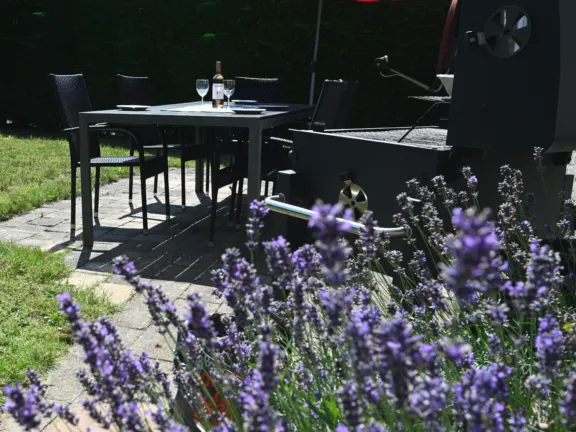 Ferienhaus le bonheur 18 07 cadzand garten terras