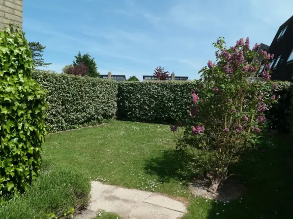 Wijk de brabander 92 cadzand tuin