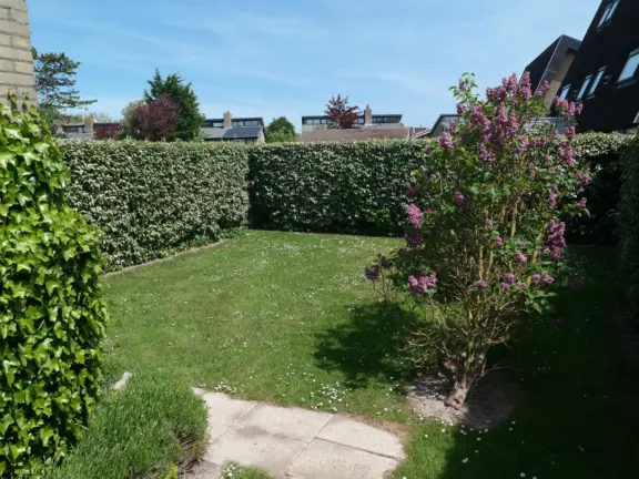 Wijk de brabander 93 cadzand tuin