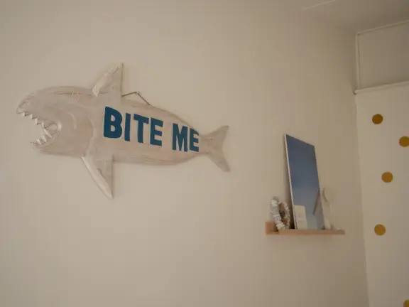 Wijk de Brabander 160 Cadzand decoratie