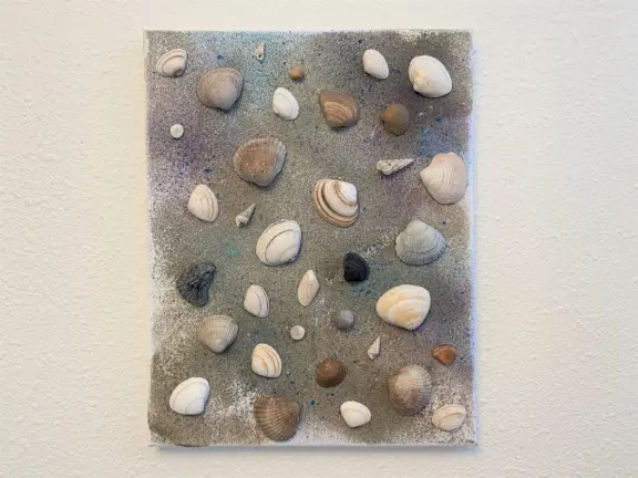 Wijk de brabander 165 cadzand veerhuis schelpen