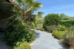 Ferienhaus wijk de brabander 40 cadzand schwimmbad pfad