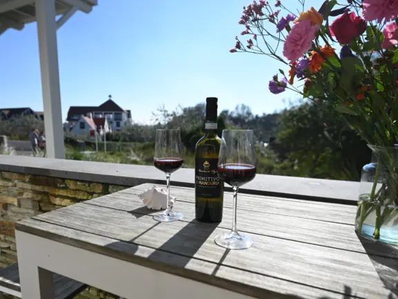 Appartement badhuis cadzand 2 E008 wijn