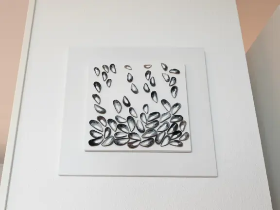 Deurloo 53 17 appartement zeezicht 53 17 mossel schelpen