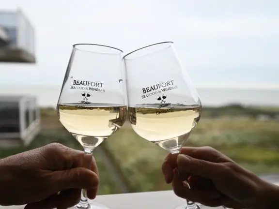 Deurloo 53 17 appartement zeezicht 53 17 wijn