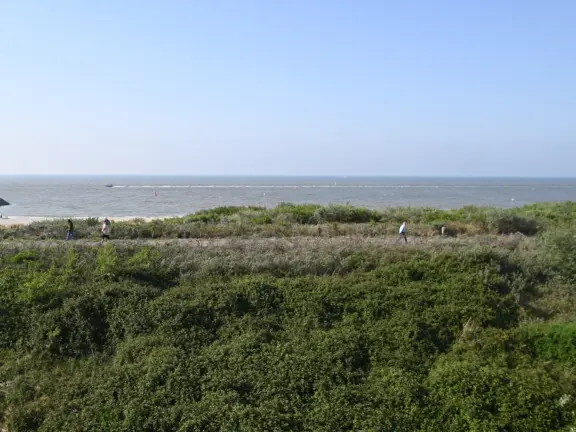 Appartement boulevard de wielen 55 18 cadzand zee en duinen