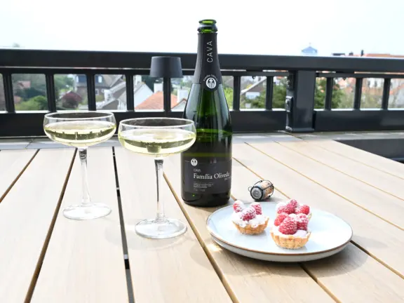 Duinhof appartement cadzand stijn albregtsstraat 6 13 balkon cava