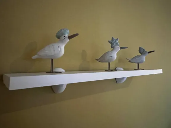 Appartement cadzand duinhof 3 9 1 decoratie vogels