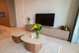Appartement sky cadzand woonkamer tv