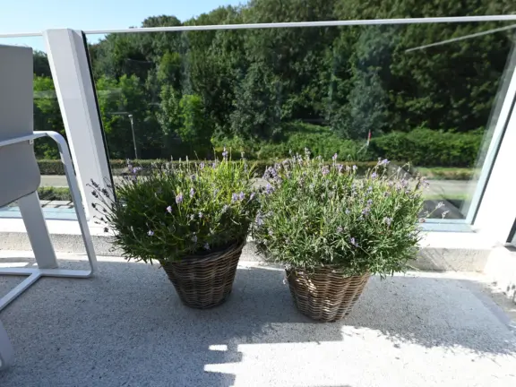 Vakantie appartement cadzand dunes et mer lavendel