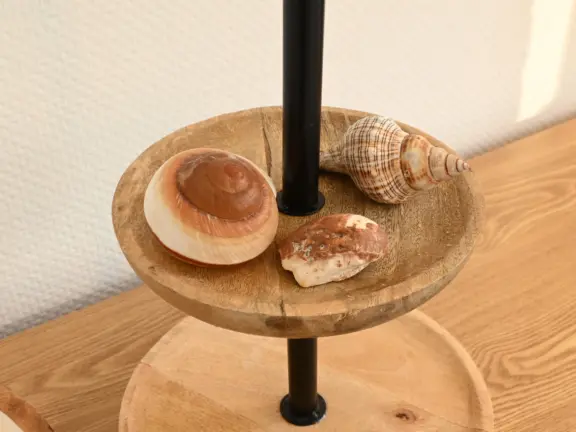 Ferienhaus nachtegalenstraat 11a cadzand muscheln