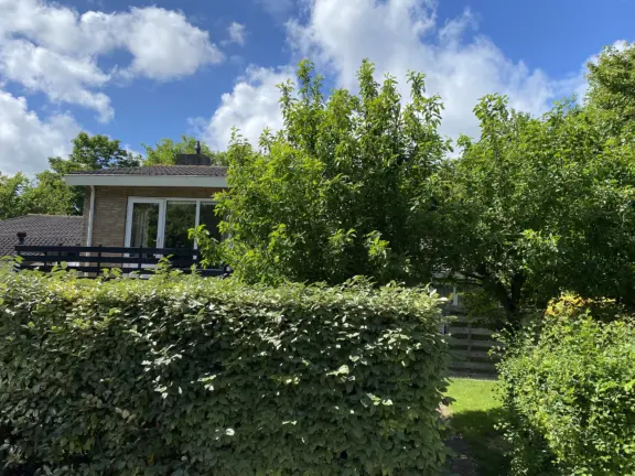 Nachtegalenstraat 6 wielewaal cadzand ferien wohnung