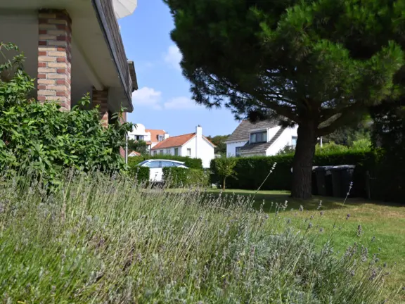 Appartement sterntjeslaan 6 cadzand grasveld