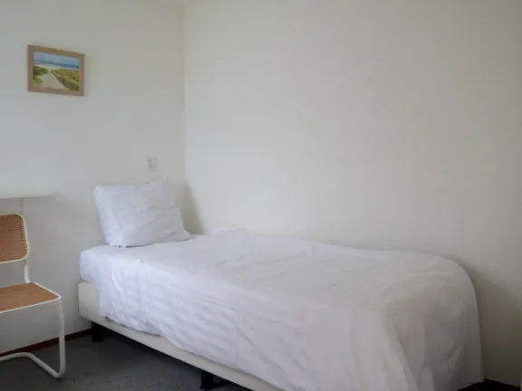 Vuurdoornstraat 2 Cadzand bed 2