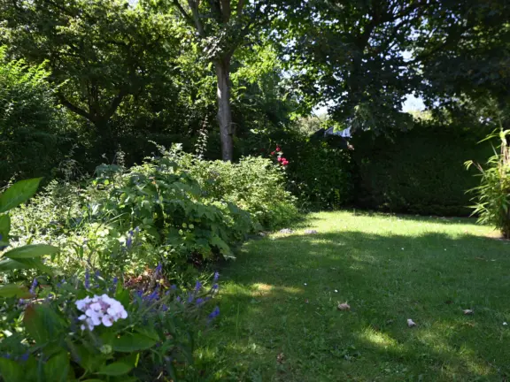 Huisje cadzand sincfal 10 tuin zomer