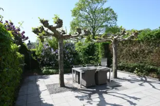 Vakantiehuis cadzand sincfal 13 tuin buitentafel