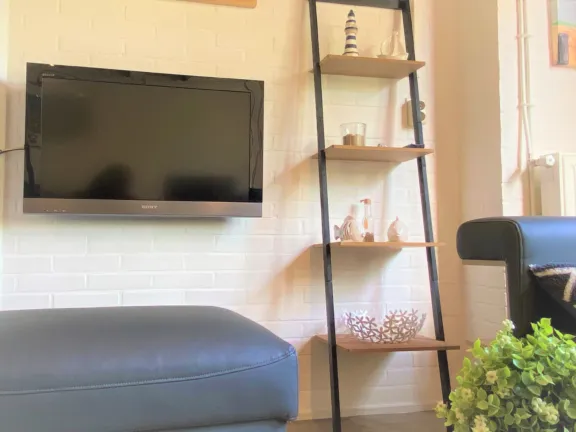 Ferienwohnung sincfal 29 cadzand bad tv