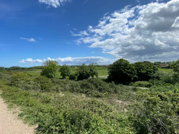 Cadzand bad zomerdorp het zwin 1