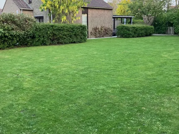 Vakantiehuis spaanse galeien cadzand tuin villa mer gazon