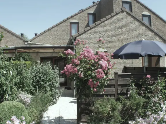 0 spaanse galeien 67 cadzand groen