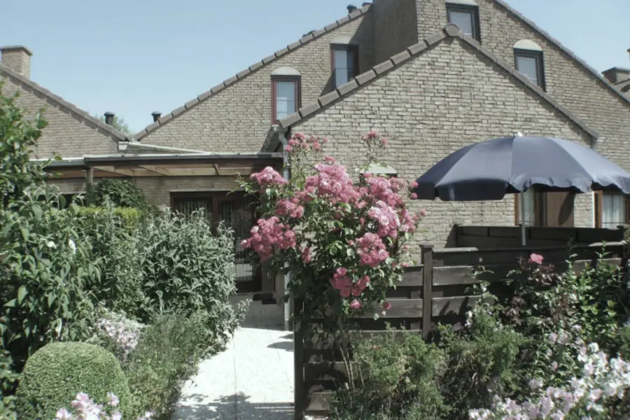 0 spaanse galeien 67 cadzand groen