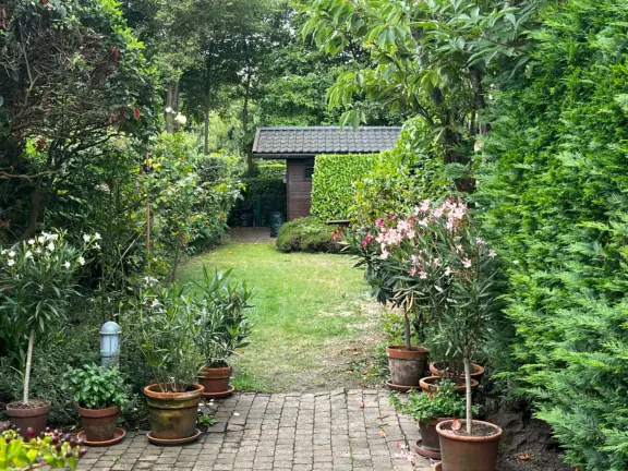 Spaanse galeien 9 cadzand tuin planten