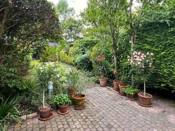 Spaanse galeien 9 cadzand tuin planten totaal