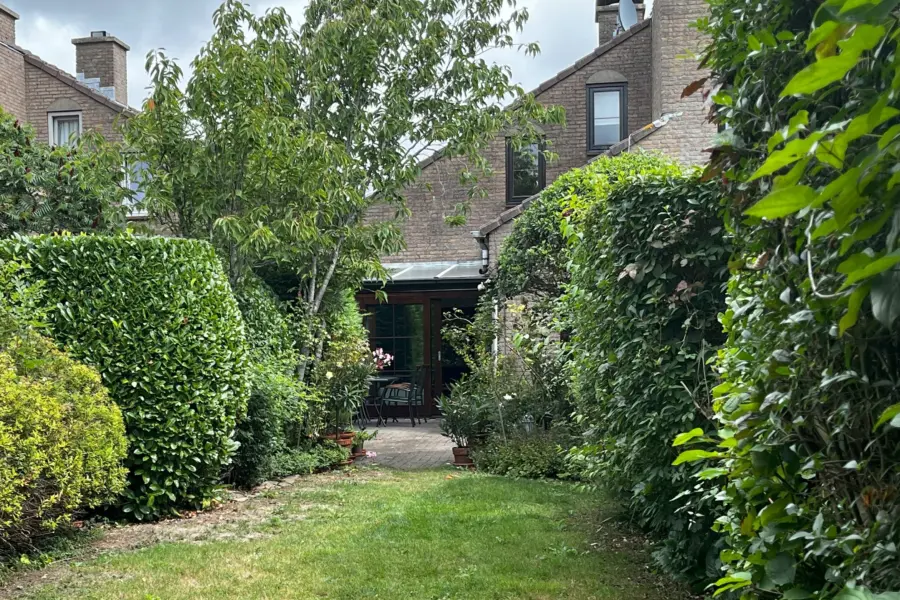 Spaanse galeien 9 cadzand tuin gras