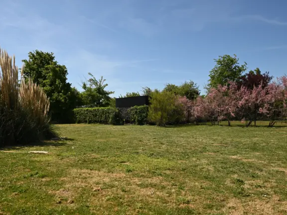 Vrijstaand vakantiehuis grote christoffelstraat 34 cadzand terra nova tuin