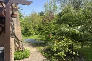 Ferien bungalow joannas hof grote christoffelstraat 15 cadzand natur