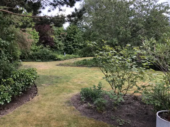 Ferien bungalow joannas hof grote christoffelstraat 15 cadzand garten