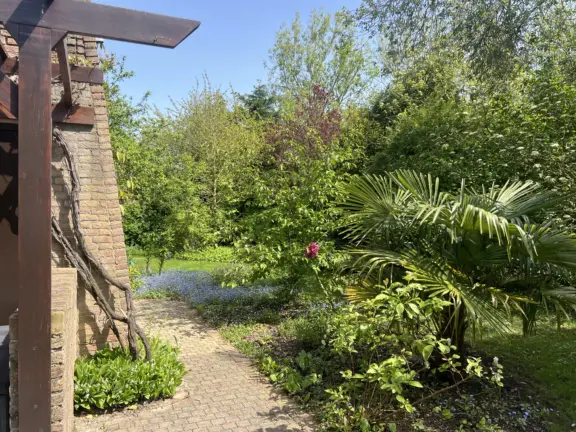 Ferien bungalow joannas hof grote christoffelstraat 15 cadzand natur