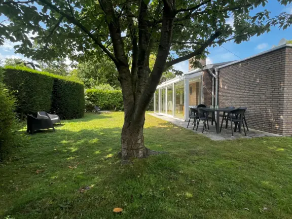 Bungalow sunrise grote christoffelstraat 30 cadzand tuin achter boom