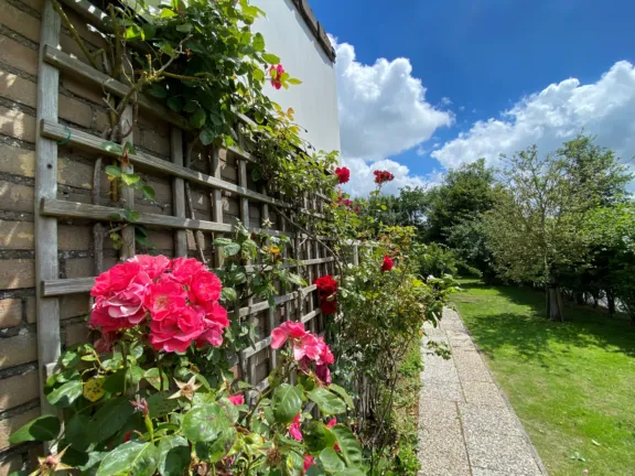 Villa mer kaapvaartstraat 3 cadzand zwin rozen