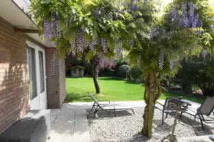Vakantiehuis Matabiche kaapvaartstraat 7 cadzand terras tuin