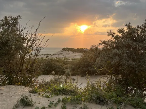 Vakantiehuis Matabiche kaapvaartstraat 7 cadzand strand