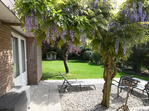 Vakantiehuis Matabiche kaapvaartstraat 7 cadzand terras tuin