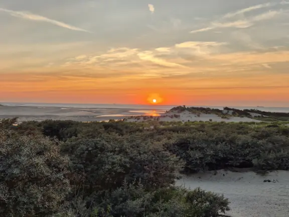 Ferienhaus wouter jansenstraat 3 cadzand zwin strand