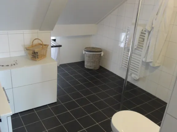 6 koolse hoeve 1b cadzand dorp badkamer2