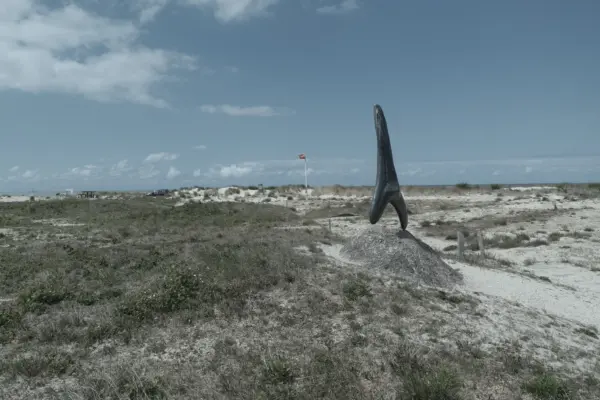Haaientand cadzand groen