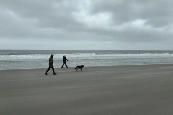 wandelen