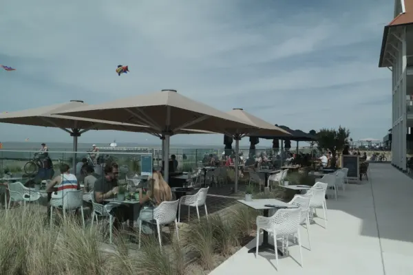Terras beaufort cover