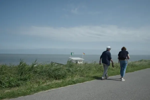Wandelen duinen cadzand cover