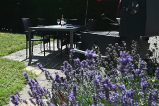 Ferienhaus le bonheur 18 07 cadzand garten terras