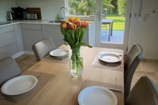 Ferienhaus wijk de brabander 40 cadzand tulpen 2