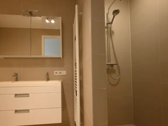 Appartement 2 E002 badhuis cadzand badkamer inloopdouche