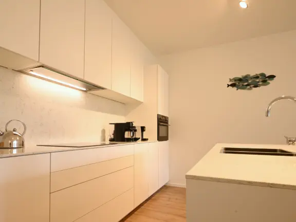 Appartement 2 E002 badhuis cadzand keuken kraan