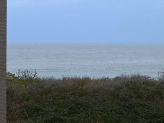 Appartement duindoorn 301 cadzand zeezicht close