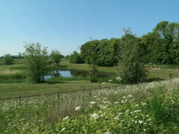 Duinhof III 7 golfbaan